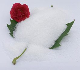 哪种聚丙烯酰胺处理洗车废水更有效？