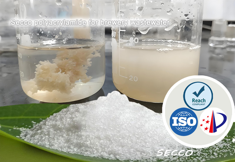 聚丙烯酰胺（PAM）在啤酒废水处理中的选择及效果